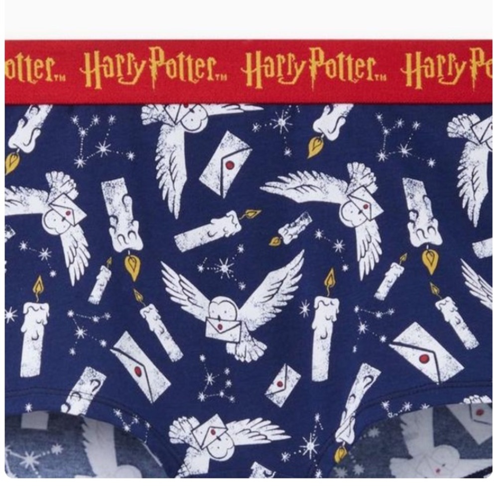 3 for $30 TORRID NWT Harry Potter Seamless Boyshort Panty - Cotton Hedwig 0297 - Picture 3 of 5